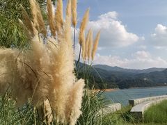 -酒仙湖景区