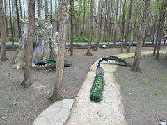 -昆山城市生态森林公园