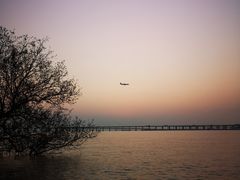 -宝安西湾红树林湿地公园