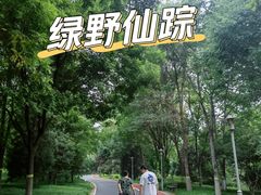 -望湖公园