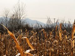 -封龙山风景区