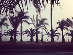 iphone_upload_pic-白城沙滩