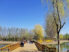 景点-东郊湿地公园
