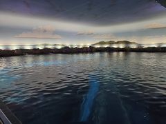 -瑞普利水族馆