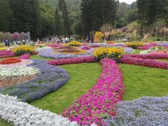 -深圳仙湖植物园