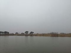 -长兴太湖图影湿地文化园