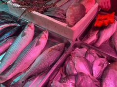 -五里多农博广场