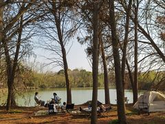 -上海海湾国家森林公园