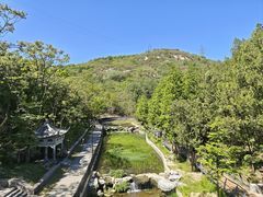 -白水寺森林公园