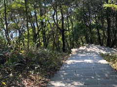 -梧桐山风景名胜区