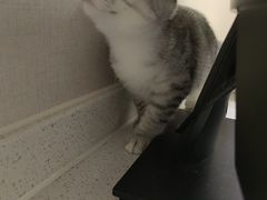 -安安宠医·臻爱宠物医院·宠保定点(营门口路分院)