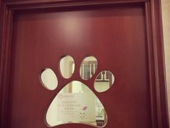 -宠爱国际动物医院· 猫科· 外科·中兽医(长白店)