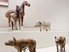 -深圳博物馆(古代艺术馆)