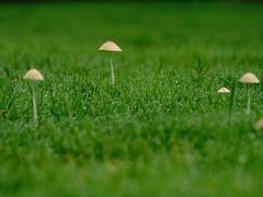 -叠溪松坪沟景区