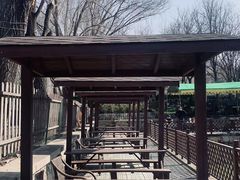 -尚庄度假村·庭台树下·户外烧烤·团建CS·轰趴营地(上庄水库店)
