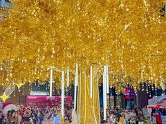 -友谊阳光城(金贸街道店)
