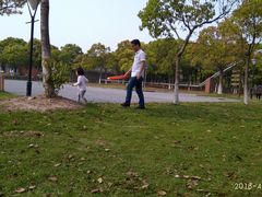-上海都市菜园