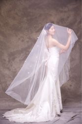 点击看大图 -伊诺摄影(徐州优选店)