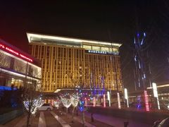 -廊坊固安福朋喜来登酒店