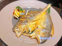 铁板香煎黄鱼-原志优秀食材·匠心料理·海胆主题(金亿广场店)