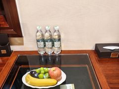 -圣爵菲斯大酒店(长沙世界之窗店)