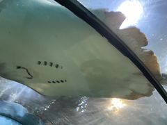 -苏州海洋馆