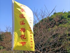 -广州市流溪河国家森林公园