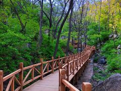-大岭沟猕猴桃谷风景区
