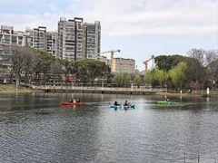 -新江湾城公园