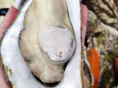 -一蚝一贝海鲜特色餐厅(万象城店)