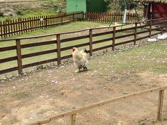 -盈香心动乐园