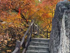 -秦岭终南山世界地质公园翠华山景区