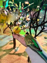 -酷嗒动物文化乐园(cutezoo西溪乐天城店)