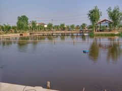 -同銮特种养殖场·龙虾垂钓