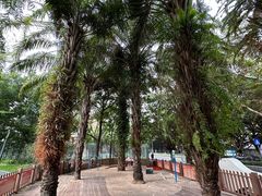 -四海公园(南山区)