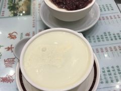 -义顺牛奶公司(新马路老店)
