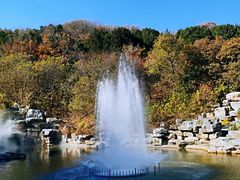 -北京西山国家森林公园