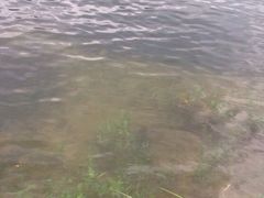 天目溪漂流景区-天目溪漂流