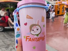 -郑州方特梦幻王国