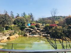 -铁山坪森林公园