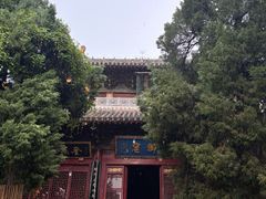 -洛阳白马寺
