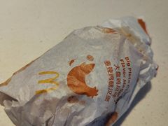 大盘鸡风味麦辣鸡腿堡-麦当劳(金沙广场店)