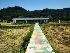 -红山村