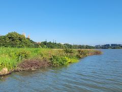-华侨城湿地公园