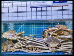 -震海贝烤贝·民俗特色店(延吉总店)