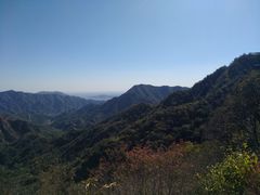 -大岭沟猕猴桃谷风景区