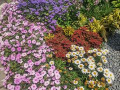 -长春市南湖公园