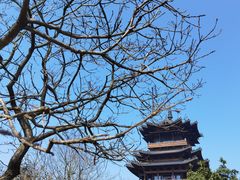 -杭州半山国家森林公园