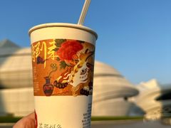 -茶颜悦色(金茂览秀城LG层外街店)