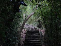-江心屿景区